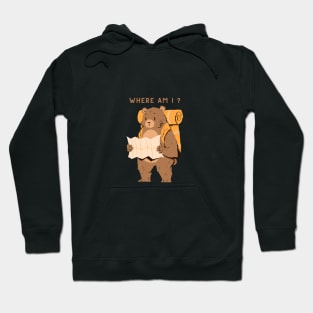 Lost Bear Hoodie